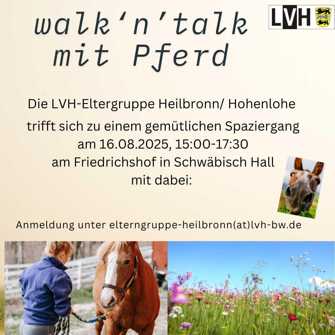 Walk ’n‘ talk in Schwäbisch Hall