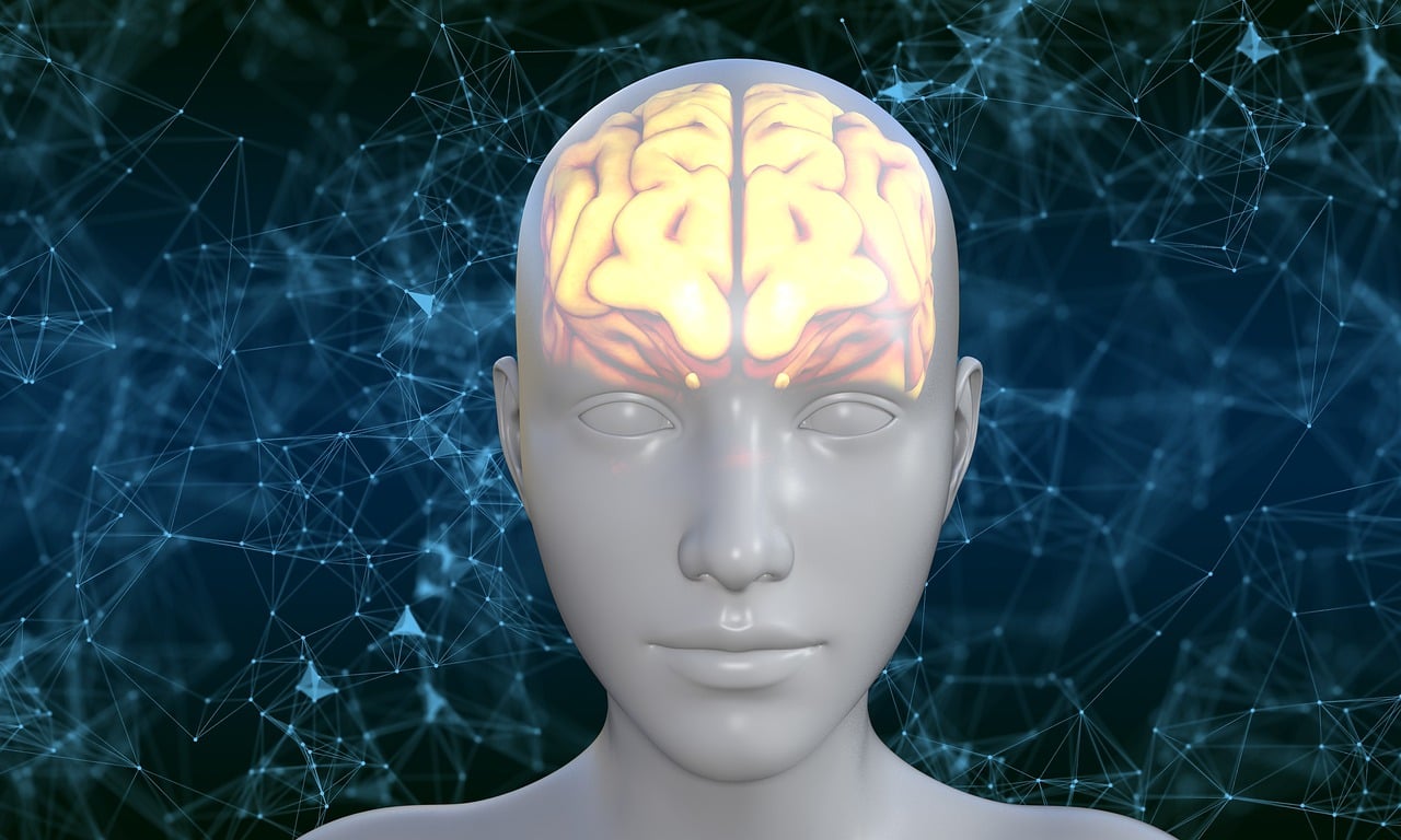 online Vortrag zum Thema Neurodiversität